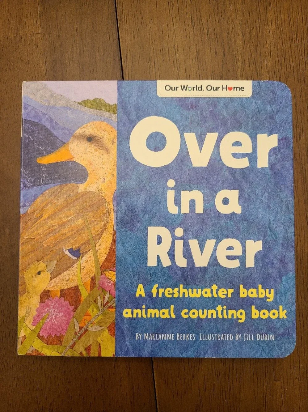 Over in a River Children's Board Book - Marianne Berkes Like New